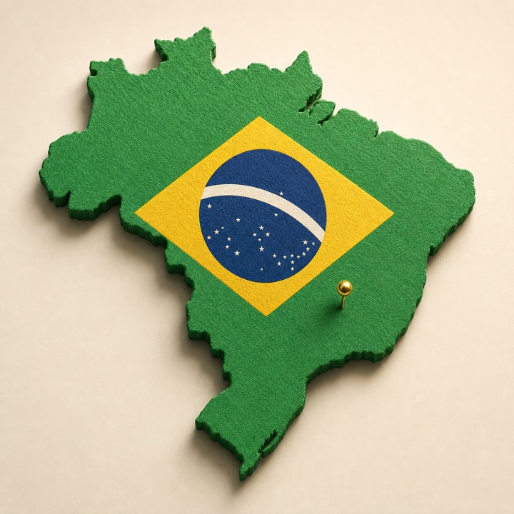 Brazil country outline