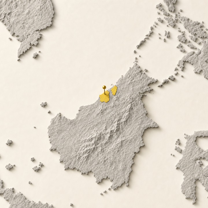 World map with Brunei location marker