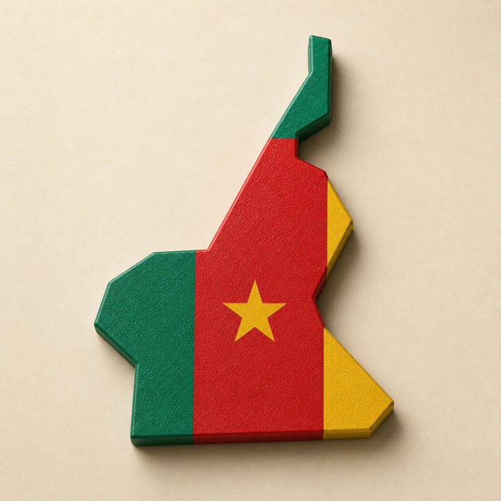 Cameroon country outline