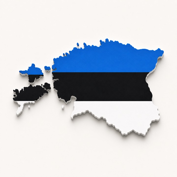 Estonia country outline