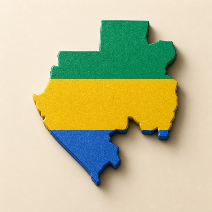Gabon country outline