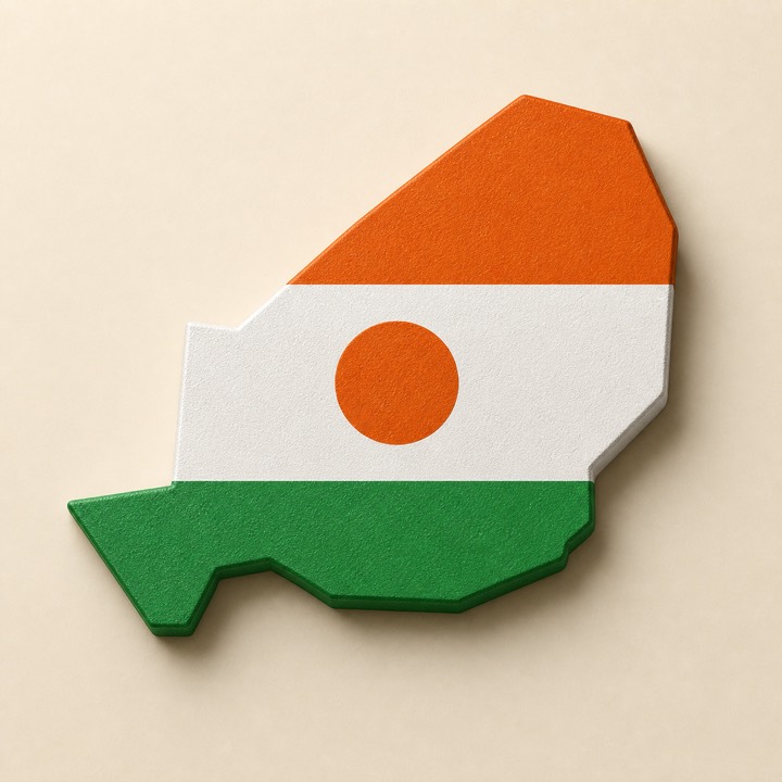 Niger country outline
