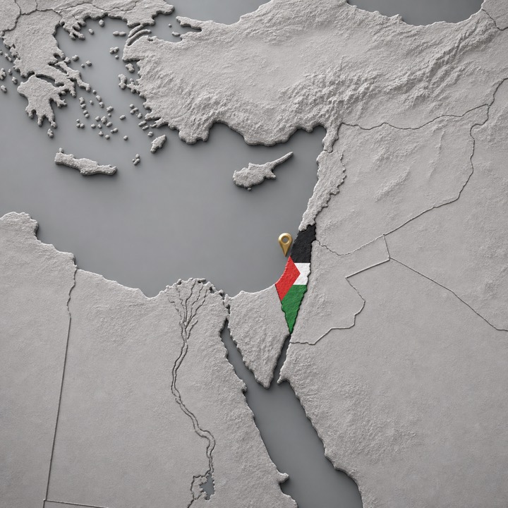 World map with Palestine location marker