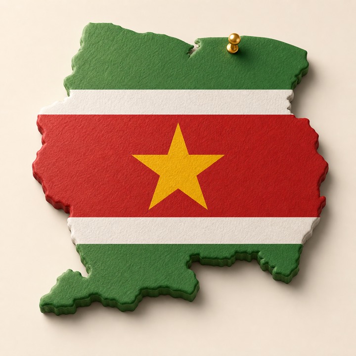 Suriname country outline